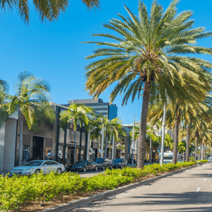 Coral Gables Lunch and Learn-1-1 Coral Gables Lunch and Learn-1-1